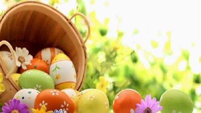 وزارة الزراعة تكثف حملاتها التفتيشية استعدادا لـ