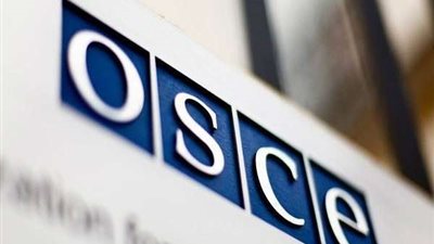 منظمة الأمن والتعاون الأوروبي: تركيا تعامل الصحفيين كإرهابيين