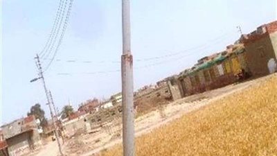 محافظ الشرقية يستجيب لشكاوى أهالي جهينة القبلية بإصلاح أعمدة الإنارة