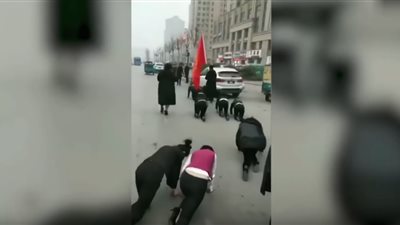 في شبين القناطر.. سائق يمزق جسد آخر بسبب أولوية المرور بالطريق العام