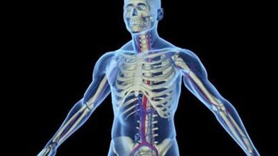 فريق طبى ينسخ أعضاء الجسم بطبعة ثلاثية الأبعاد