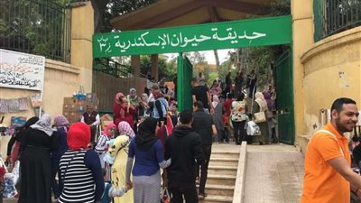 المئات من أهالي الإسكندرية يحتفلوا بشم النسيم في حديقة الحيوان