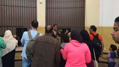 مدير حديقة الحيوان: استقبلنا 30 ألف زائر في 3 ساعات ونصف