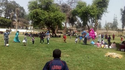 محمود السعدي: تطوير 7 حدائق تابعة للري بالقناطر