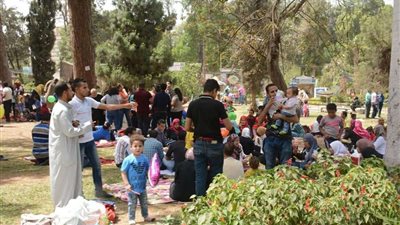 بالصور.. توافد الأهالي لحديقة الأورمان احتفالاً بشم النسيم