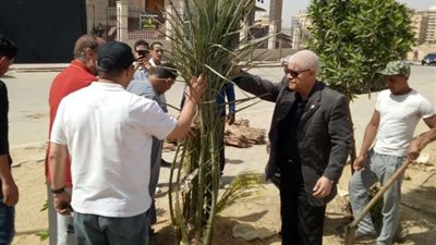 بالصور.. رئيس حي البساتين يشارك في زراعة أشجار مثمرة بمحيط مسجد العظيم