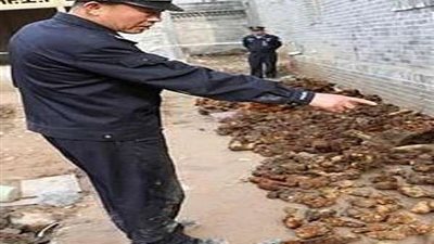 عمال الصين يعثرون على 3000 قنبلة من الحرب العالمية الثانية