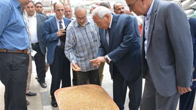 محافظ الدقهلية يتفقد صومعة ميت غمر