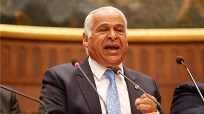 فرج عامر يشيد يتوقيع مصر على إعلان 