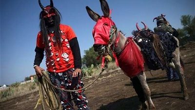 جلودها منشطات جنسية ..معلومات لاتعرفها عن الحمير فى يومها العالمي