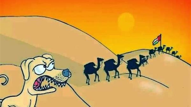 بلدنا اليوم