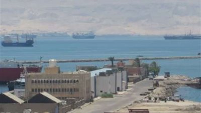 انتظام حركة السفن داخل موانئ البحر الأحمر