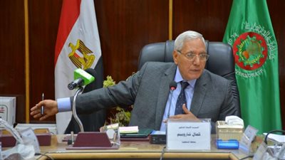 توريد 74 ألف طن قمح بالشون والصوامع في الدقهلية