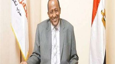 برلماني يطالب بإنشاء مكتب نفقة دولة بأبوسمبل