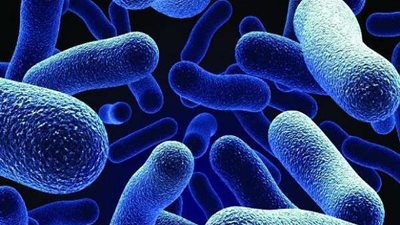 توفيراً للوقت.. جهاز جديد يقدم الفحوصات الطبية في دقائق