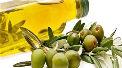 أبرزها تنشيط الذاكرة.. 5 فوائد مذهلة لزيت الزيتون