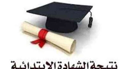 اعرف نتيجة الصف السادس الابتدائي الترم الثاني