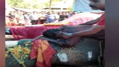 وسط انهيار تام.. مدرب هندي يودع فيله بعد صداقة 15 عاما