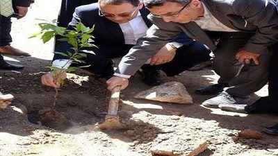 محافظ الشرقية يغرس أشجارًا بمدارس وميادين مدينة الزقازيق