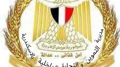 تموين الإسكندرية: تحرير 223 محضرًا ضمن حملة رقابية على الأسواق