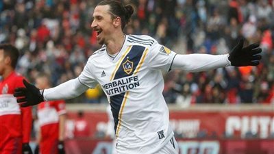 إيقاف إبراهيموفيتش مباراتين بالدروي الأمريكي