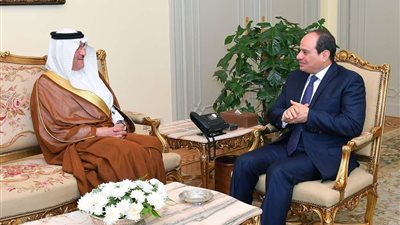 برلماني: قمة منظمة التعاون الإسلامي تناقش حالة التوتر بالشرق الأوسط