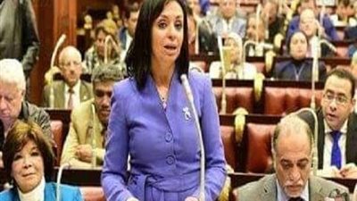 المجلس القومي للمرأة يشارك في ندوة تتعلق بالممارسات الثأرية