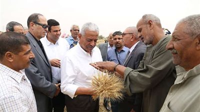 توريد 91 ألفًا و173 طن قمح للشون والصوامع بالقليوبية