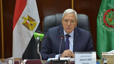 توريد 151 ألف طن قمح للصوامع والشون بالدقهلية