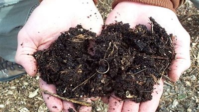 بأمر القانون.. دولة أوروبية تسمح بتحويل الجثث البشرية إلى سماد