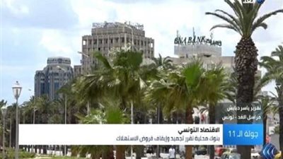 وزير التجارة التونسي: قيود البنوك على القروض الاستهلاكية عائقًا لصنع النمو