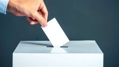 انطلاق جولة الإعادة في الانتخابات الرئاسية بليتوانيا