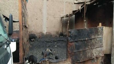 أبرزها الخصوص وشبرا الخيمة.. أخطار تلاحق المواطنين وتسبب السرطان