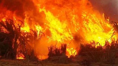 السيطرة على حريقين بسبب حرارة الجو في كفر الشيخ