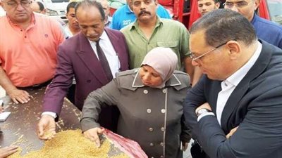 توريد 99 ألف طن قمح للشون والصوامع بنطاق القليوبية