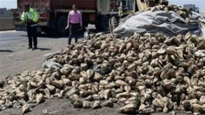 انقلاب سيارة 