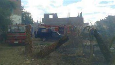 الحماية المدنية تسيطر على حريق بقطعة أرض زراعية بأسيوط