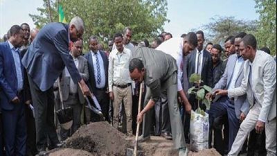 إثيوبيا تُطلق مبادرة لزراعة 4 مليارات شجرة بالقرن الأفريقي