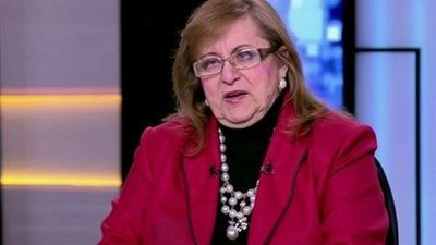 فهمي: قانون الاستثمار مظلوم بشكل كبير