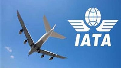 النقل الدولي: من غير المرجح عودة طائرة بوينج ماكس 737 للخدمة قريبًا