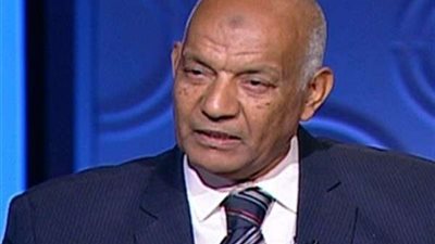 خبير إرهاب دولي: تسليم عشماوي لمصر يؤكد أنها الدرع الواقي للوطن العربي