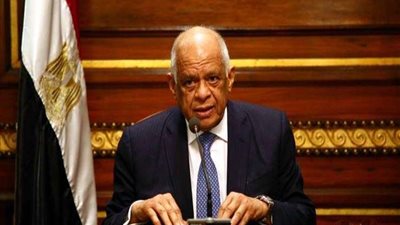 البرلمان يشيد بالجهود الناجحة لمصر والقوات المسلحة في مكافحة الإرهاب