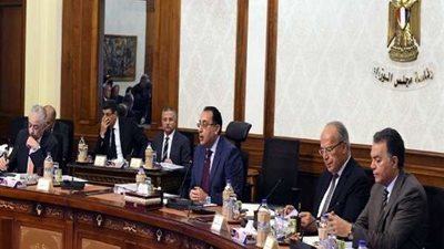 بعد  قرار الوزراء بالغاء القومي لعلاج الإدمان..أسباب الإلغاء وآلية الدمج