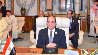 سولاف درويش تشيد بكلمة الرئيس السيسي فى القمة العربية بالسعودية