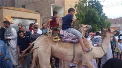 ركوب الجمال أبرز مظاهر إحتفالات الأطفال بالعيد فى الوادي الجديد