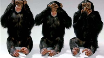 الصين تستنسخ 5 قرود لعلاج مرض الزهايمر