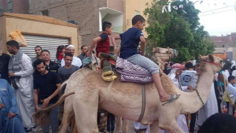 بلدنا اليوم