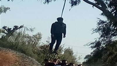 أول صور لانتحار شاب بشنق نفسه في شجرة بالبحيرة