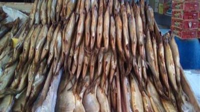 ضبط طن ومائة وعشرة كجم أسماك مملحة فاسدة بديروط بأسيوط