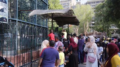 بالصور.. إقبال كبير من المواطنين على حديقة الحيوان في أخر أيام عيد الفطر